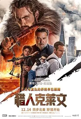 新桥恋人 法国爱情电影海报
